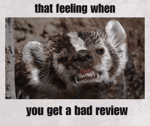 Badger With Feeling When You Get Bad Review GIF