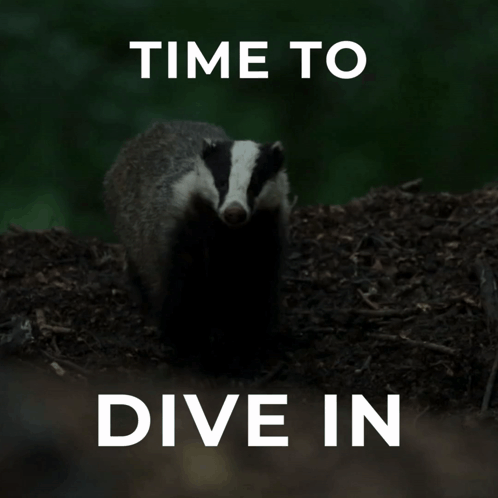 Badger With Time To Dive In Text GIF