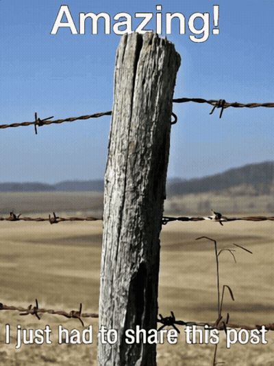 A Picture Of A Barbed Wire Fence With The Caption Amazing GIF