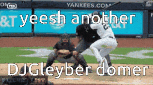 A Picture Of A Baseball Game With The Words " Yeesh Another Djgleyber Dome " GIF