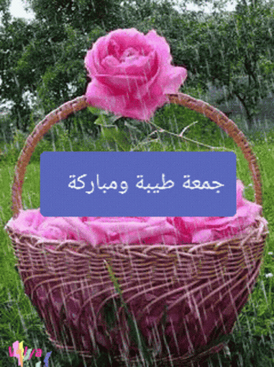A Picture Of A Basket Of Pink Roses With Arabic Writing On It GIF