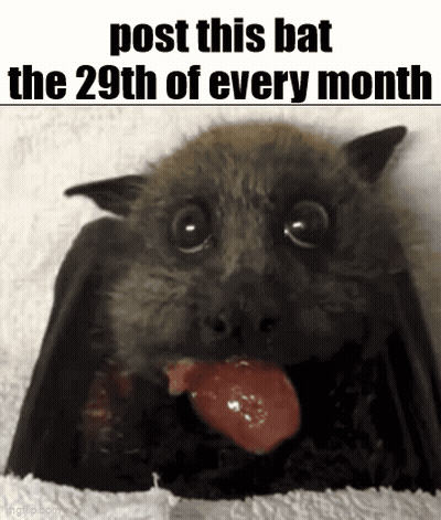 A Picture Of A Bat Eating A Piece Of Meat With The Caption Post This Bat The 29Th Of Every Month GIF