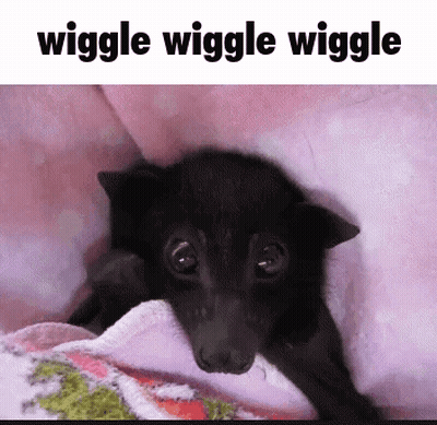 A Picture Of A Bat With The Words Wiggle Wiggle Wiggle On The Bottom GIF