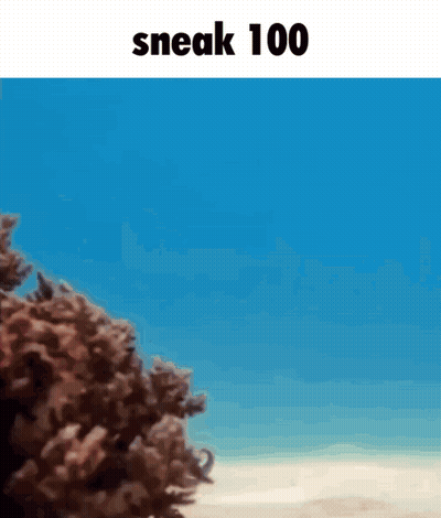 A Picture Of A Beach And The Words Sneak 100 GIF