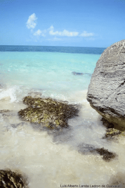 A Picture Of A Beach Taken By Luis Alberto Landa Ladron De Guevara GIF