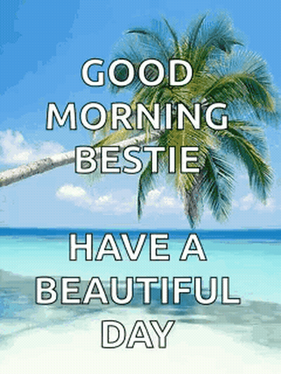 A Picture Of A Beach With A Palm Tree And The Words `` Good Morning Bestie Have A Beautiful Day '' . GIF