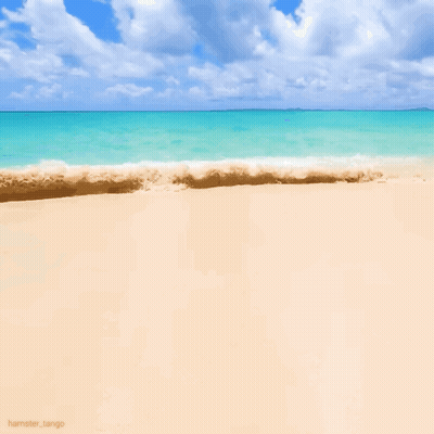 A Picture Of A Beach With The Name Hamster_tango At The Bottom GIF
