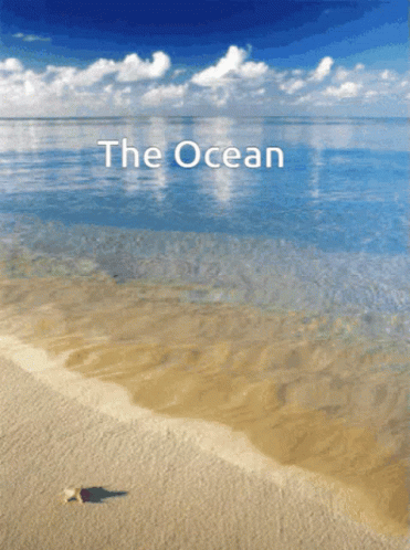 Beach Scene With Ocean Text GIF