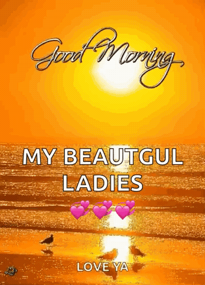 A Picture Of A Beach With The Words " Good Morning My Beautiful Ladies Love Ya " GIF