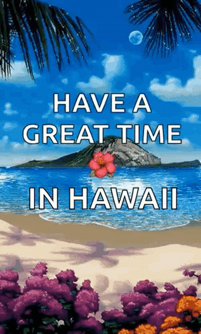 A Picture Of A Beach With The Words Have A Great Time In Hawaii On It . GIF