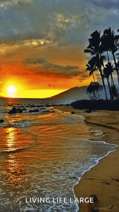 A Picture Of A Beach With The Words Living Life Large GIF