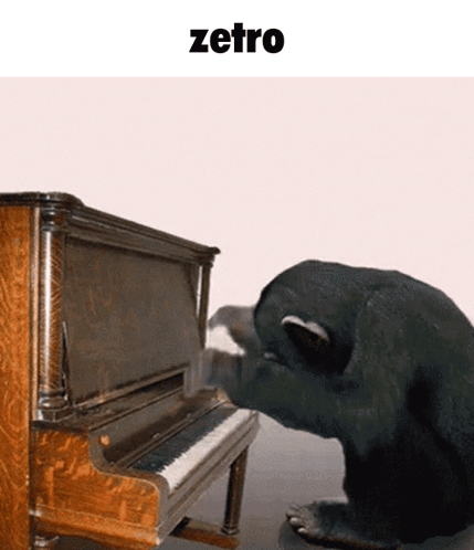 A Picture Of A Bear Playing A Piano With The Word Zetro Underneath It GIF