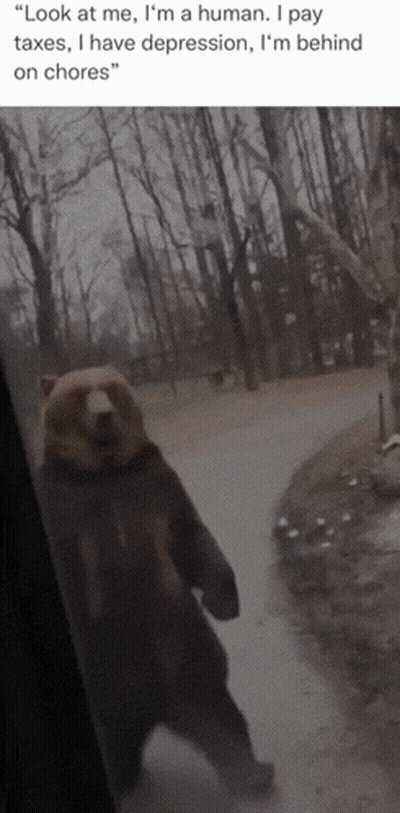 A Picture Of A Bear With A Caption That Says " Look At Me I 'M A Human GIF