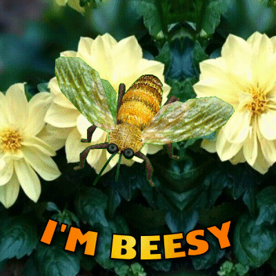 A Picture Of A Bee With The Words I 'M Beesy Underneath It GIF