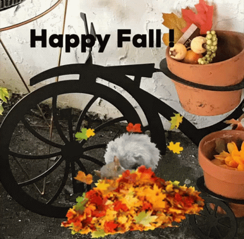A Picture Of A Bicycle With The Words Happy Fall GIF