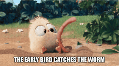 A Picture Of A Bird Catching A Worm With A Caption Saying The Early Bird Catches The Worm GIF