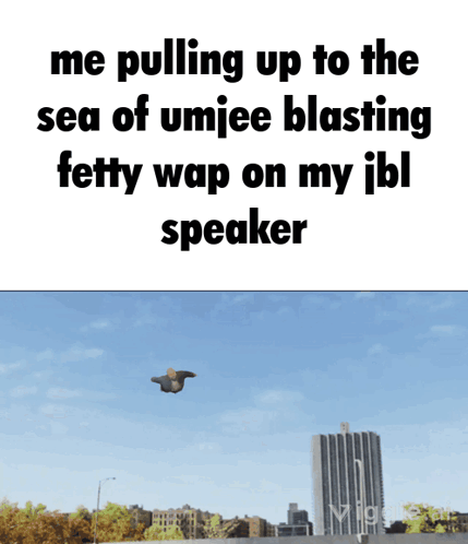 A Picture Of A Bird Flying In The Sky With The Words Me Pulling Up To The Sea Of Umjee Blasting Fetty Wap GIF