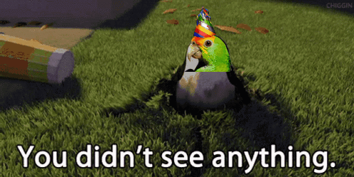 A Picture Of A Bird Wearing A Party Hat With The Words You Didn 'T See Anything Below It GIF