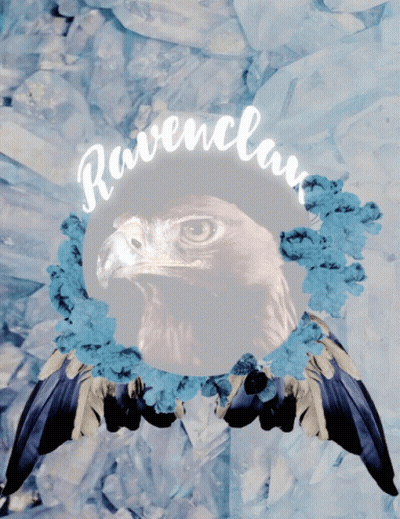 A Picture Of A Bird With The Word Ravenclaw Written On It GIF