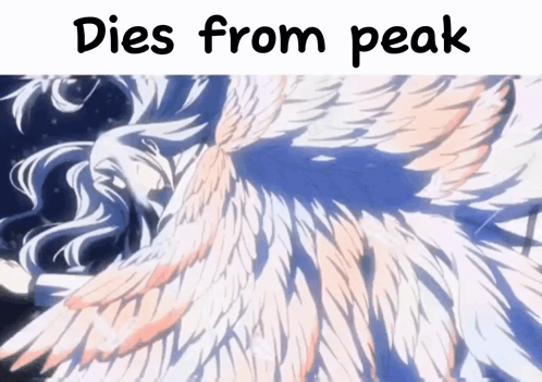 A Picture Of A Bird With The Words Dies From Peak Above It GIF