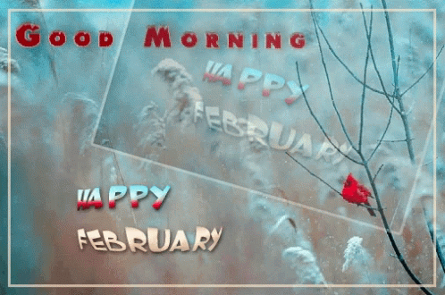 A Picture Of A Bird With The Words Good Morning Happy February On It GIF