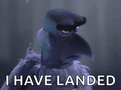 A Picture Of A Bird With The Words I Have Landed On It GIF