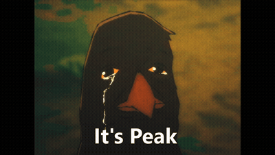 A Picture Of A Bird With The Words It 'S Peak GIF