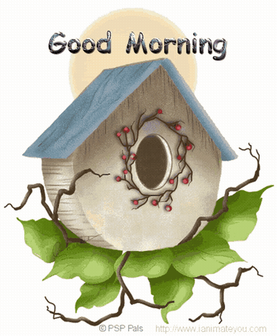 A Picture Of A Birdhouse With The Words Good Morning Written On It GIF