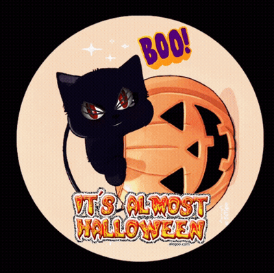A Picture Of A Black Cat And A Pumpkin That Says Boo GIF