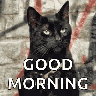 A Picture Of A Black Cat With The Words Good Morning Below It GIF