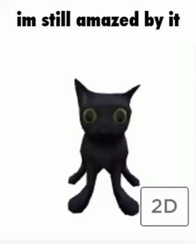 A Picture Of A Black Cat With The Words Im Still Amazed By It 2D GIF
