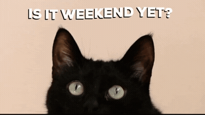 A Picture Of A Black Cat With The Words Is It Weekend Yet Below It GIF