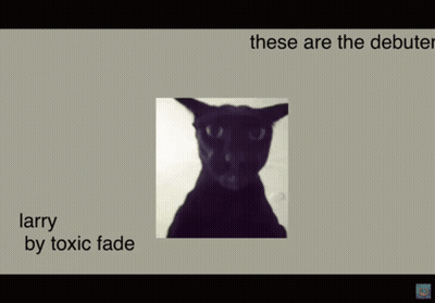 A Picture Of A Black Cat With The Words Larry By Toxic Fade GIF