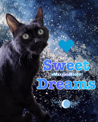 A Picture Of A Black Cat With The Words Sweet Dreams GIF