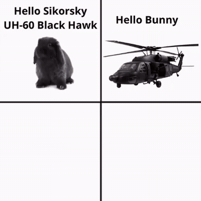 A Picture Of A Black Hawk Helicopter And A Picture Of A Black Bunny GIF