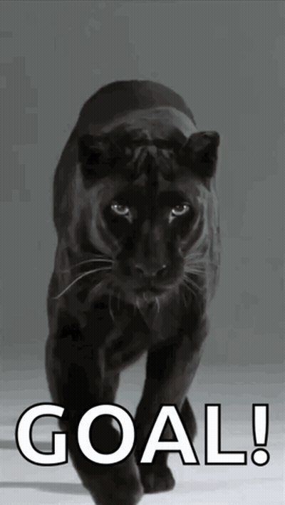 A Picture Of A Black Panther With The Words Goal Written Below It GIF