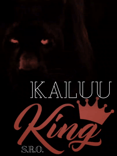 A Picture Of A Black Panther With The Words Kaluu King S.r.o. GIF