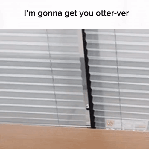 A Picture Of A Blind With The Words `` I 'M Gonna Get You Otter-Ver '' Written On It . GIF
