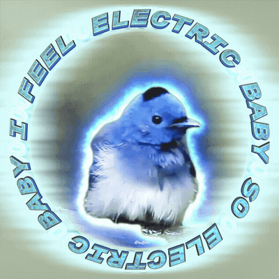 A Picture Of A Blue Bird With The Words " Baby I Feel Electric So Electric " Around It GIF