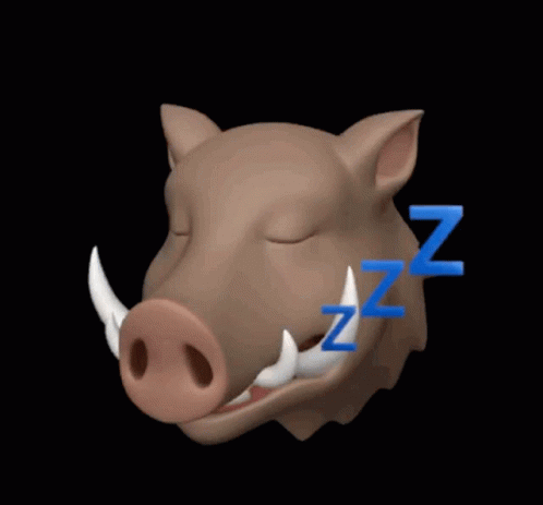 A Picture Of A Boar With The Words " Good Evening " On It GIF
