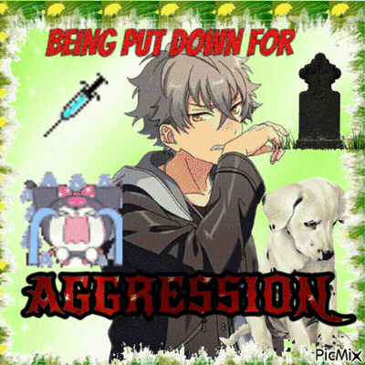 A Picture Of A Boy And A Dalmatian Dog With The Words Being Put Down For Aggression GIF