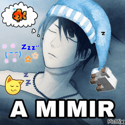 A Picture Of A Boy Sleeping With The Words A Mimir Written Below Him GIF