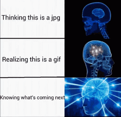 A Picture Of A Brain With The Words Thinking This Is A Jpg Realizing This Is A Gif