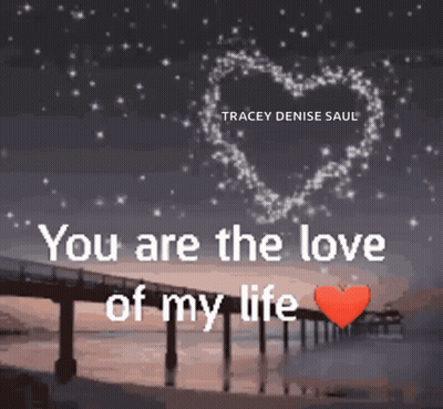 A Picture Of A Bridge With The Words " You Are The Love Of My Life " Written On It GIF