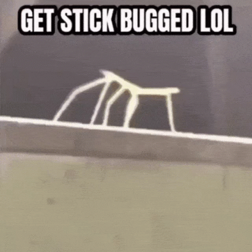A Picture Of A Bug With The Words Get Stick Bugged Lol On It GIF