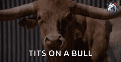 A Picture Of A Bull With The Words Tits On A Bull Above It GIF