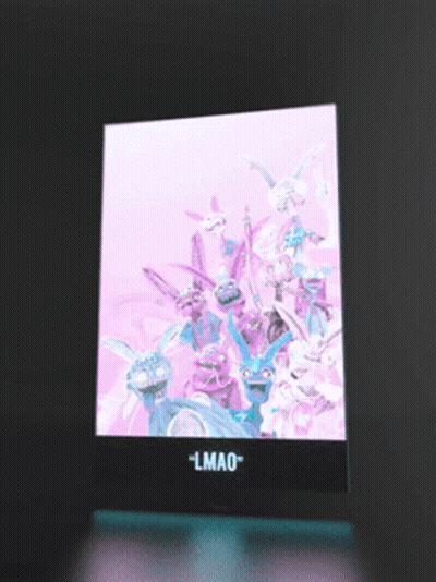 A Picture Of A Bunch Of Rabbits With The Words " Lmao " On The Bottom GIF