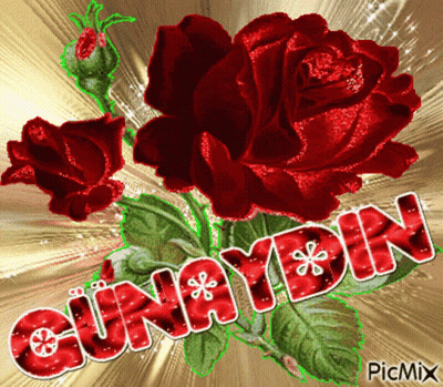 A Picture Of A Bunch Of Red Roses And The Word Cunayan GIF