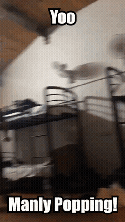 A Picture Of A Bunk Bed With The Words Manly Popping GIF