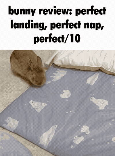 A Picture Of A Bunny Laying On A Blanket With The Caption Bunny Review Perfect Landing Perfect Nap Perfect / 10 GIF